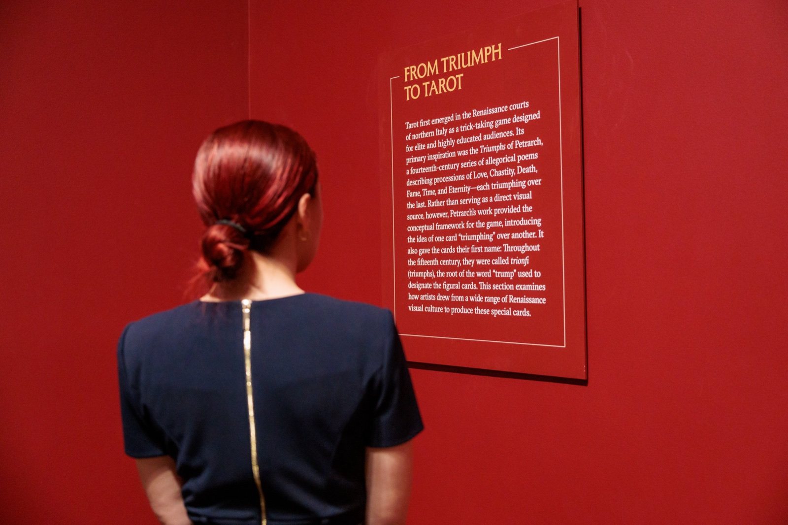 A visitor reading an exhibition panel on a red wall